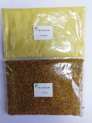 從田野到藥典 玉米花粉、破壁玉米花粉與高粱花粉的植物提取物研發新視角
